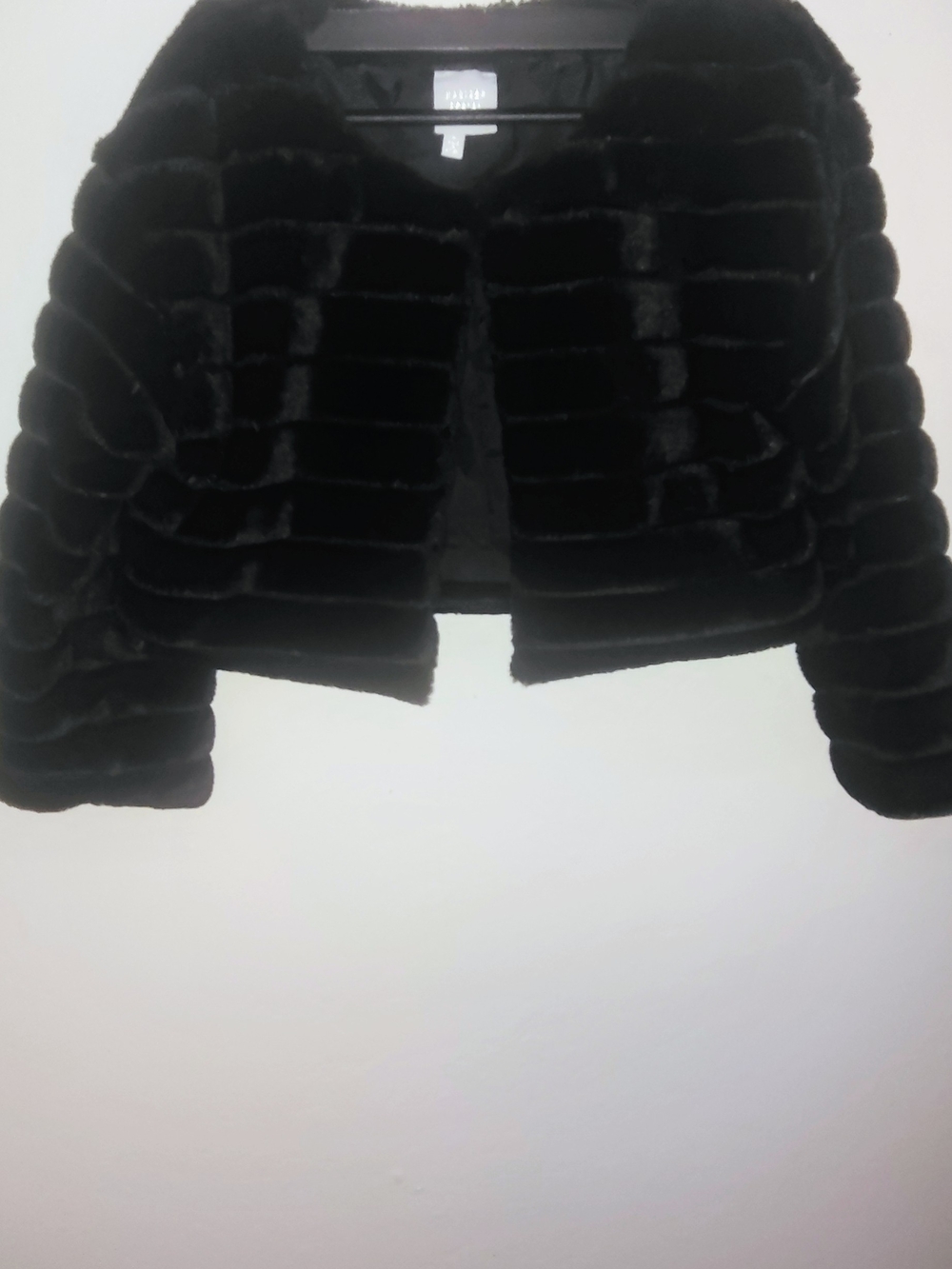 Cropped Black Faux Fur Teddy Jacket - Women